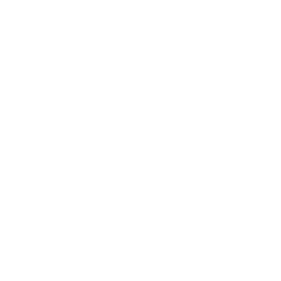 Zenimax Media Inc.